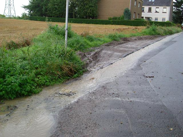 2004_0826_151452 (5).JPG - Rhönweg (ehemaliger Salinger Weg) im alten Verlauf